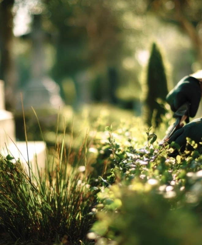 Entretien pierre tombale